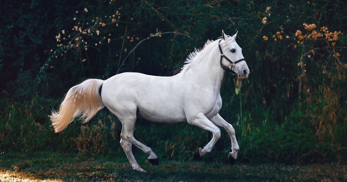 You Can Know You'll Be Okay AND Not Feel Okay Right Now